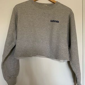 John Galt/Brandy Melville cropped grey sweater